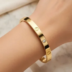Luxury Screw Bangle Bracelet